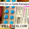 Prix De La Gelée Kamagra new07